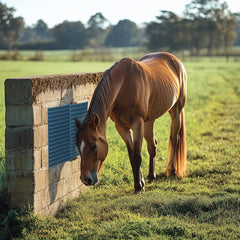 homcare almohadilla rasca para vacas y ganado en granja