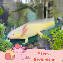 Homedy hamaca de malla transpirable, ventilación y secado rápido