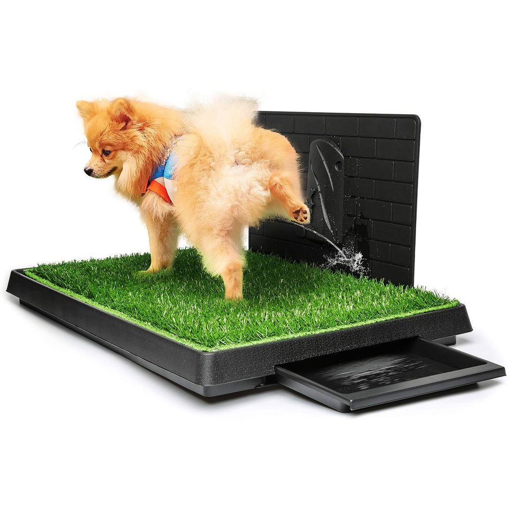 Hompet césped artificial con bandeja grande para entrenamiento de perros.