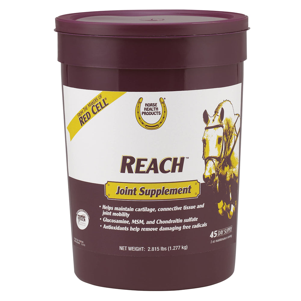 Horse Health Reach granulos articulaciones en mano para apoyar movilidad diaria.