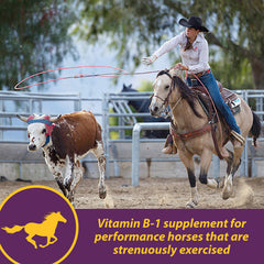 Horse Health Vita B-1 Crumbles medida, porción fácil para administración diaria.