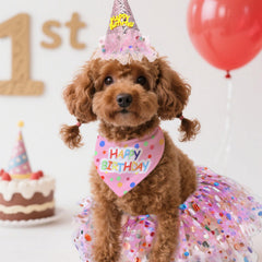 Conjunto de cumpleaños para perro Hpmjz, princesa rosa para fotos divertidas.