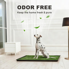 HQ4US 4LEGS grama artificial absorbente ayuda a secar y contener pis durante entrenamientos.