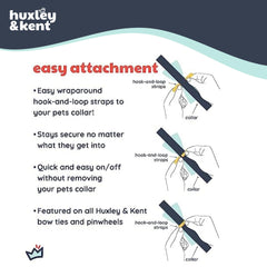 Lazo Huxley & Kent con cierre gancho-velcro para collar seguro.