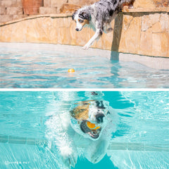 Hyper Pet Tenis naranja flotando en agua, diversión al aire libre.