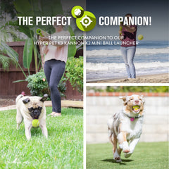 Hyper Pet bola tenis mini interactiva para perros, perfecta para sesiones de juego con gente.
