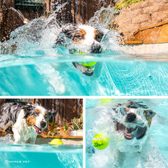 Hyper Pet bolas tenis para perros, color verde para uso al aire libre.