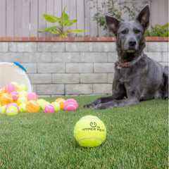 Hyper Pet pelotas-tenis-perro-verde-04: flotan para diversión en piscina.