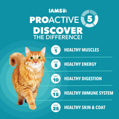 IAMS Proactive Health con remolacha, fibra especial, apoya la digestión y el cuidado del pelo.