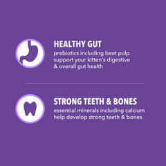 IAMS Proactive Health gatito, apoyo digestivo con fibra natural y prebióticos