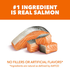 IAMS Proactive Health ingrediente principal salmón, proteína de alta calidad para músculos
