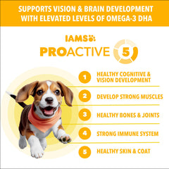 IAMS Proactive Health Puppy Chicken kibble close-up for robust nutrition
