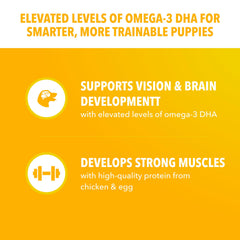 IAMS Salud Proactiva antioxidantes y vitamina E para un sistema inmune equilibrado.