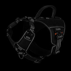 Panel de parches ICEFANG GN8 para identificar a tu perro.