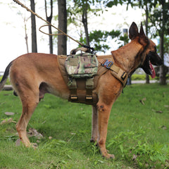 ICEFANG arnés GN3 MOLLE para accesorios en ruta