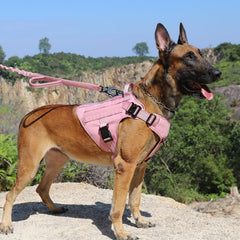 ICEFANG arnés táctico para perro grande con paneles MOLLE para accesorios.