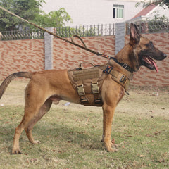 Arnés ICEFANG GN3 con hebillas resistentes para ajuste seguro y rápido.