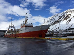 Rollos de piel de pescado rojo de Icelandic+, textura crujiente para morder.