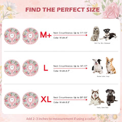 IEUUMLER collar en forma de dona inflable protege de lamidos y mordidas durante la recuperación.