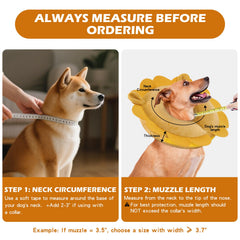IEUUMLER collar inflable cómodo, uso diario para perros.