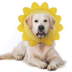 IEUUMLER collar inflable de recuperación para perros, protege la herida mientras el animal se mueve libremente.