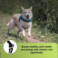 iHeartDogs Super Greens perro añadiendo polvo al alimento diario.