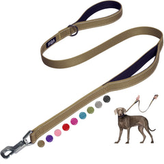 Fida 4 ft Correa para Perros - Asa Doble Acolchada, Gancho Fácil y Reflectante