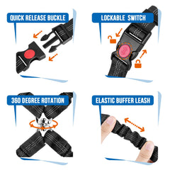 Lukovee Doble Cinturón para Perros en Coche – Seguridad para 2 Mascotas, 360° sin Enredos, Alto Ajuste