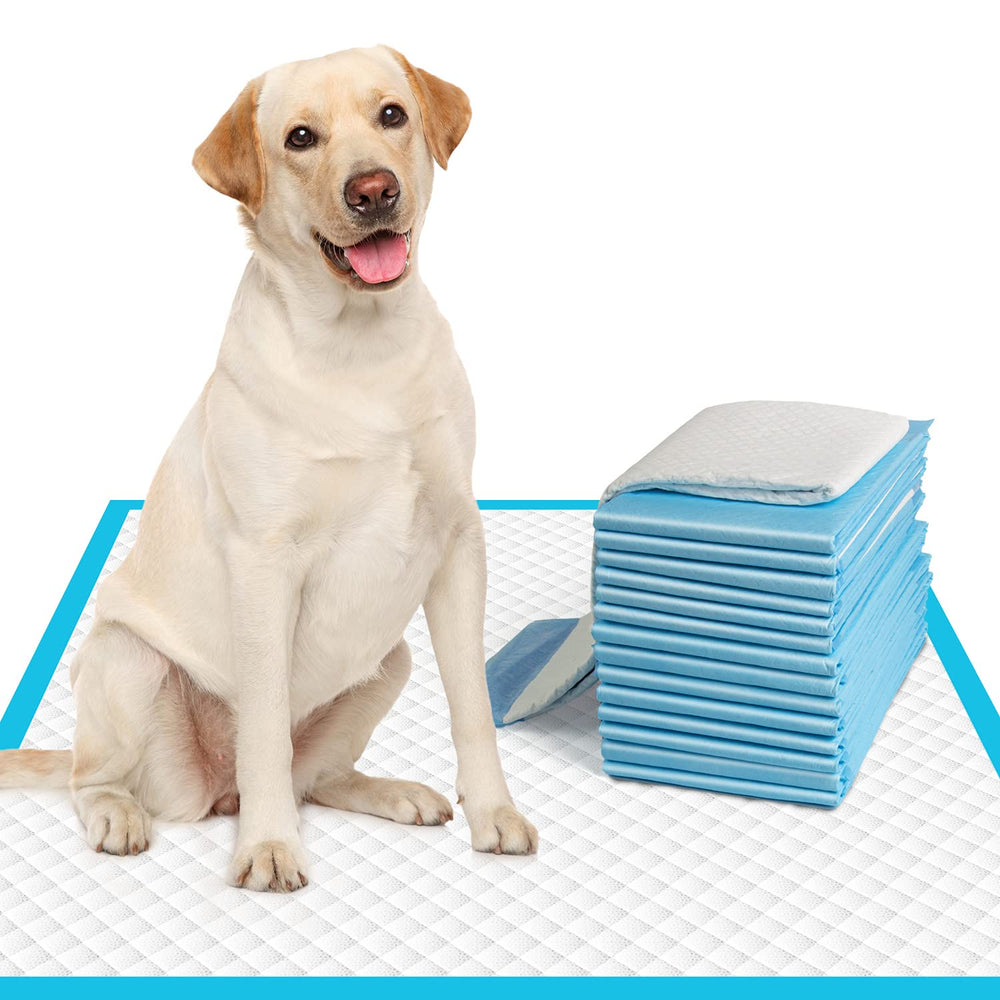 IMMCUTE almohadillas para perros grandes con 6 capas para mayor absorción