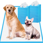 IMMCUTE almohadilla de entrenamiento extralargo para perros, superficie amplia.