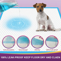 IMMCUTE protección todo el día para hogares con varias mascotas.