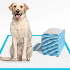 IMMCUTE pad-entrenamiento-perro-xl-28x34, absorción rápida para entrenamiento en casa.