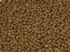 Nutrispheres de Invert Aquatics: alimento para caracolas con nutrición equilibrada para crecimiento y salud.