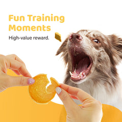 iPaw premio para entrenamiento de perros, refuerzo positivo en cada sesión