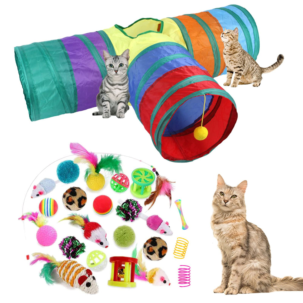 ISMARTEN ensemble jouets chat 32 pièces pour stimulation et jeu