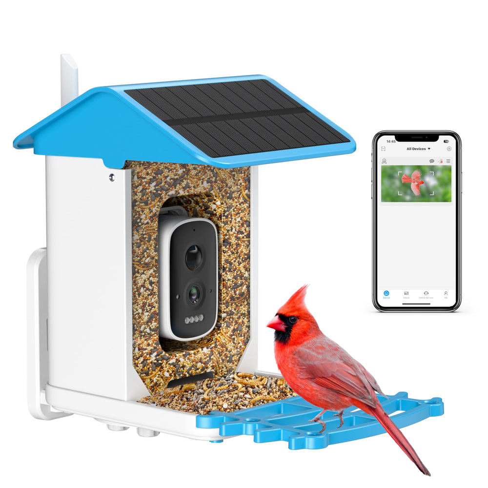 isYoung alimentador de aves con cámara para observar aves día y noche