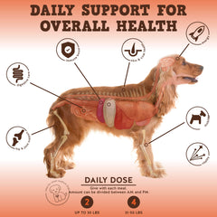 Jack&Pup Multi-Buddy sabor delicioso, se integra fácilmente en la rutina del perro.