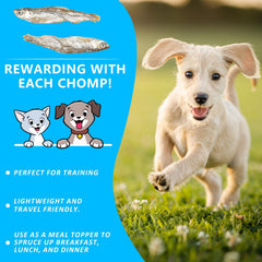 JADINGSFARM Minnows, alimento natural para perros y gatos activos.