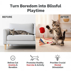 JBD Cola señuelo desmontable para activar instintos de caza del gato