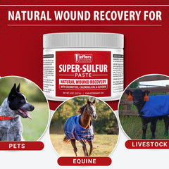 Aplicación en patas y codos con Jeffers Super Sulfur.