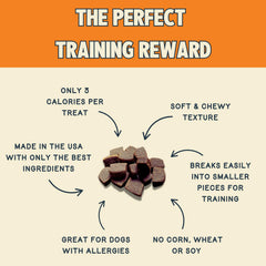 Jiminy's sabor crujiente cricket, entrenamiento sin desorden.