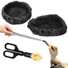 Jingmore tazones alimento dragon-barbudo para alimentación diaria segura