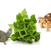 Bola alimentadora JJMOLLE para tortugas en tanque, ideal para incentivar la exploración y el forrajeo.