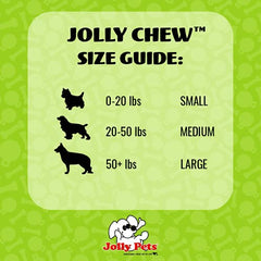 El Jolly Pets Jolly Bone mediano azul para uso acuático y recuperación al aire libre.