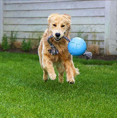 Jolly Pets Romp-n-Roll, cuerda de agarre fácil para tirar y lanzar
