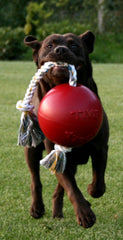 Jolly Pets Romp-n-Roll hecho en EE. UU., apoya refugios y fomenta juego responsable.