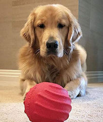 Jolly Pets Tuff Tosser; bola roja rellena para premios y entretenimiento.