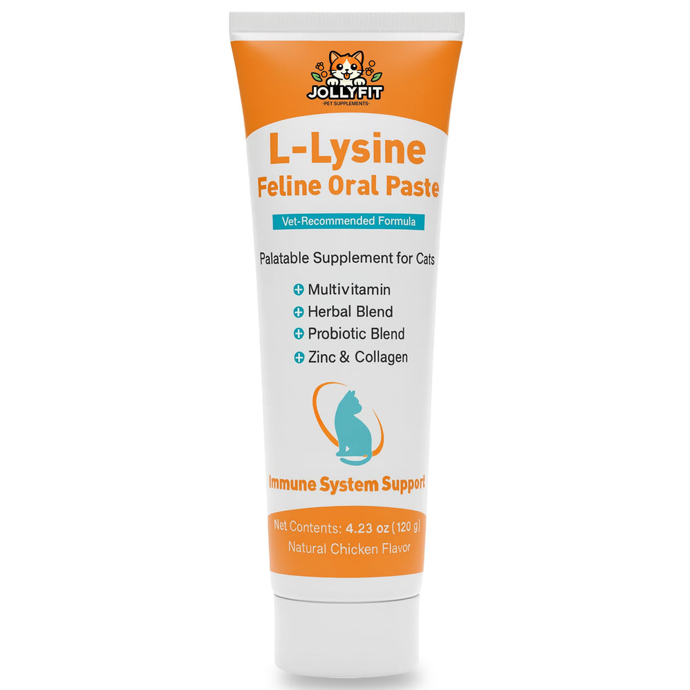 Jollyfit L-Lisina para gatos en pasta oral, apoyo inmunitario diario.