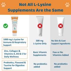 L-Lisina para gatos con probióticos y salmón, equilibrio intestinal.