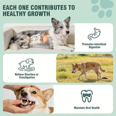 Jomielerr Probióticos para perros, ingredientes de calidad: fórmula natural sin colorantes.